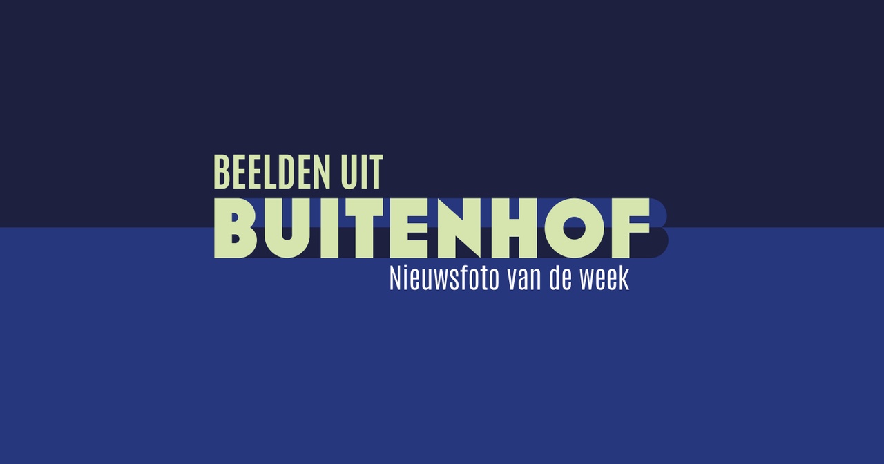 ⓒ Buitenhof (AVROTROS - BNNVARA - VPRO)